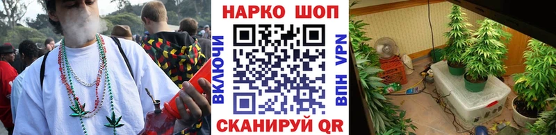 Виды наркотиков купить Красково АМФЕТАМИН  COCAIN  МЕФ  МЕТАДОН  Бошки Шишки 