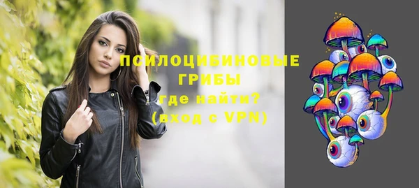 ПСИЛОЦИБИНОВЫЕ ГРИБЫ Абдулино