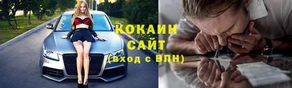 соль ск Алексин