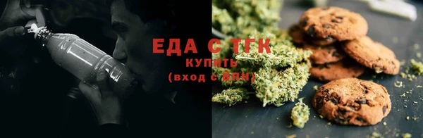 крисы Алзамай