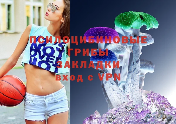 бошки Абинск