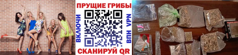 Псилоцибиновые грибы ЛСД  Красково 